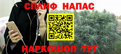 тгк Будённовск
