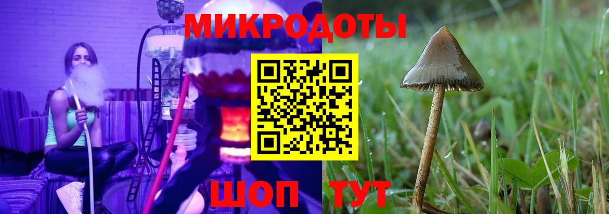 Галлюциногенные грибы Cubensis  Галлюциногенные грибы мицелий  Сосновоборск  Вход с VPN 